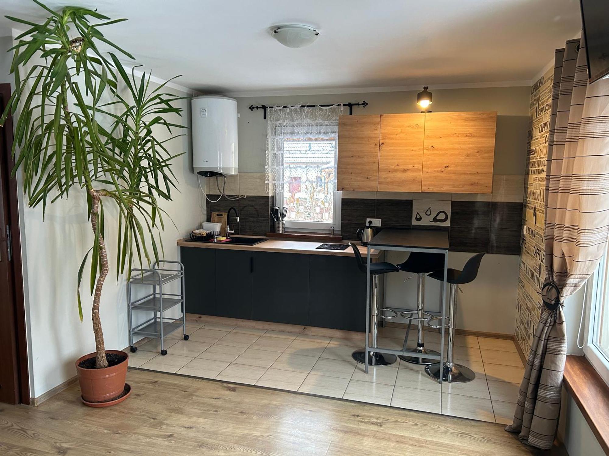 Apartamenty Antonio Kudowa Zdroj Luaran gambar